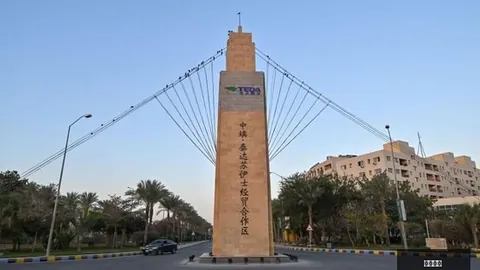 高通6战略规划师谈，开云电竞，终端定制，服务模式革新运营商生态